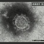 新型コロナウイルス 岡山県岡山市内でも感染者。６０代女性
