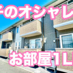 モダン部屋1LDK賃貸アパート リレーション 岡山市中区関