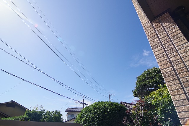 画像に alt 属性が指定されていません。ファイル名: IMGP7854.jpg