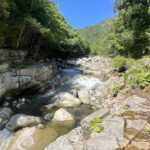 奥津渓 新緑の季節 2025年6月の風景