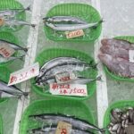 備前市にある真魚市 8月24日のお魚