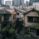 庭の思い入れのある木はどうする?岡山の空き家管理で残す・伐採する基準