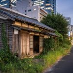 岡山市の古民家・空き家を活かしたい！カフェや店舗に転用する前の維持管理