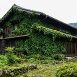 【玉野・瀬戸内】遠方の実家が空き家に…夏の管理を地元の不動産会社に任せるメリット